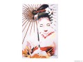 acrylic geisha